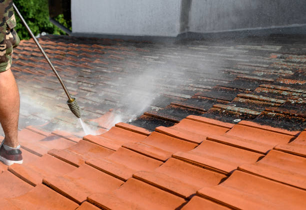 Best House Pressure Washing  in Mishicot, WI