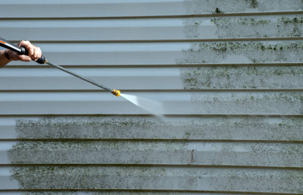 Best Affordable Power Washing  in Mishicot, WI