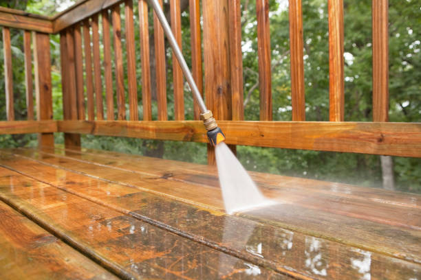 Best Roof Pressure Washing  in Mishicot, WI